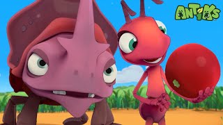 Red Flag Adventure With Friends Antiks Old Macdonalds Farm Animal Cartoons For Kids
