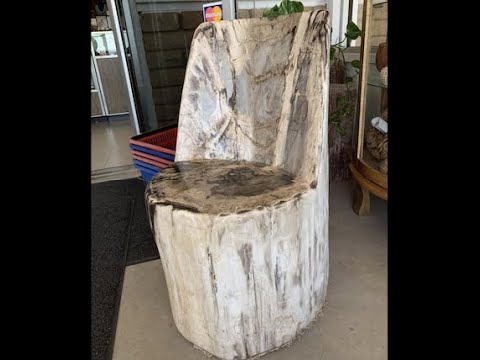 Ornate Petrified Wood
