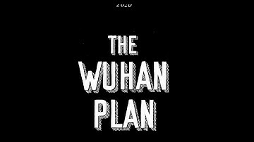 The Wuhan Plan