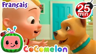 Ma chanson de chien, Bingo | CoComelon en Français | Chansons pour bébés