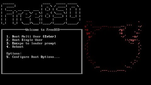 Hacking FreeBSD RESET ROOT Password