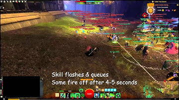 Guild Wars 2 WvW - Skill Lag For The Lose - Please Fix Anet