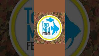 Transform Your Fish Tank with Tetra Food!