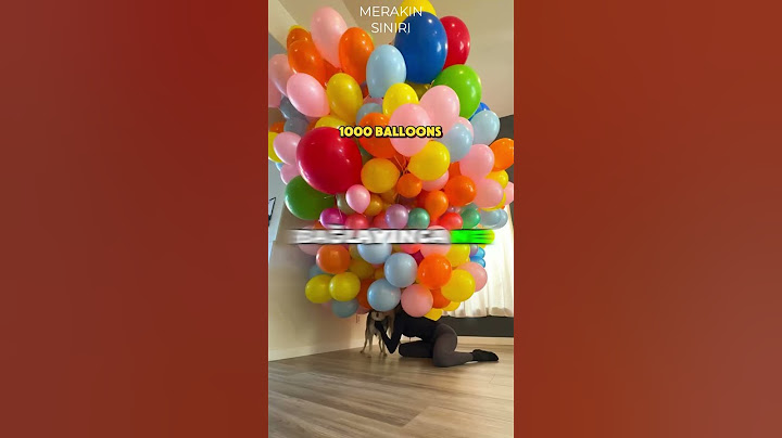Kaç BALON Bir Köpeği Uçurur? 🎈🗯️