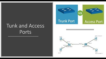 Tunk and Access Ports for Beginners and Pros – Configuration | Troubleshooting
