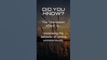 The Chameleon Effect: Why You Mirror Others Unconsciously 🦎
