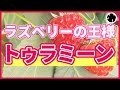 【Tulameen】激甘ラズベリー！「トゥラミーン」まさに正統派（育て方）