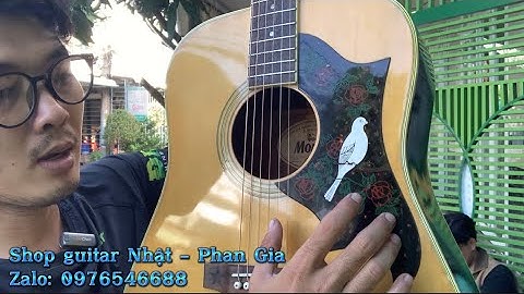 Đánh giá đàn guitar morris w20 năm 2024