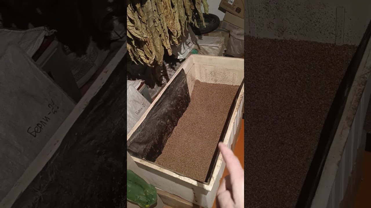 Решил поумничать и поржать, ещё один лишён права писать комментарии. Спор о брожении.