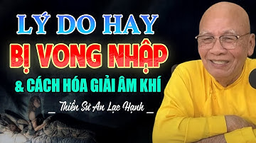 Lý Do Hay Bị Vong Nhập Và Cách Hóa Giải Âm Khí - Thiền Sư An Lạc Hạnh