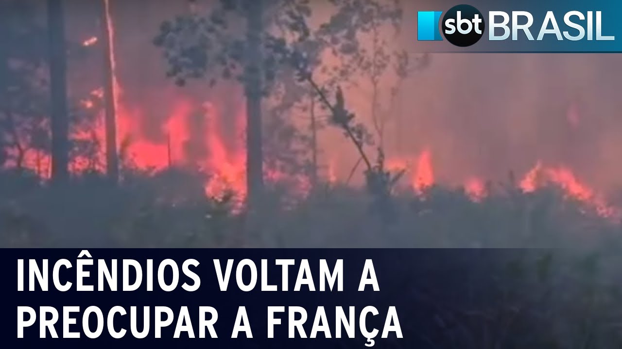 Incêndios florestais voltam a preocupar França | SBT Brasil (12/08/22)