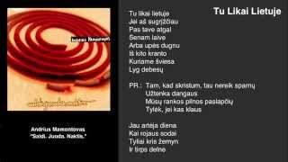 Video thumbnail of "Andrius Mamontovas - Tu Likai Lietuje"