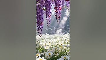 ارح سمعك و قلبك 🤍 قرآن كريم 🤍 اكتب شيئا تؤجر عليه 🤍