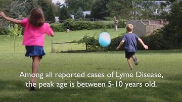 Transforming Lyme Disease Research at Johns Hopkins Lyme Disease Research Center