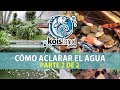 COMO ELIMINAR LAS ALGAS EN MI ESTANQUE - PROBLEMA DE AGUA VERDE - KOISLAND PARTE 2 de 2