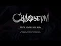CHAOSEUM - "Stick Under my Skin" Live Acoustic Session at Conatus Studio