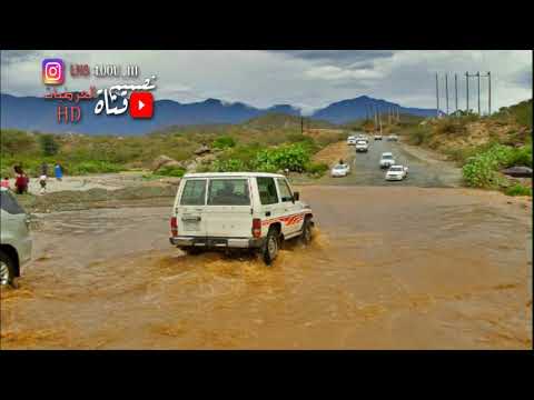 مرحبا ياهوى بالي وغاية مراده قناه العرضيات 