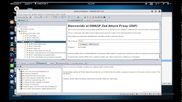 Escaner de vulnerabilidades ZAP - Kali Linux
