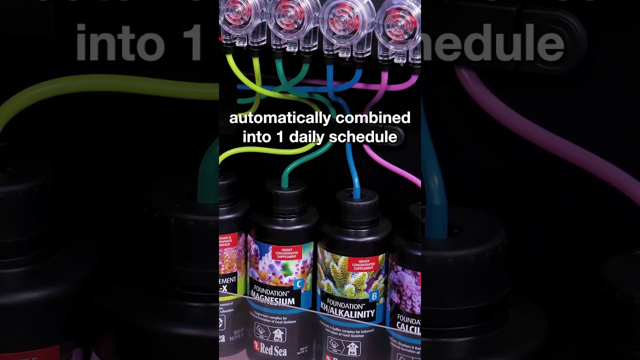 ReefDose Accurate Smart Intuitive