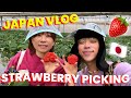 We Went to a Strawberry Picking Farm in Japan! | worldofmama