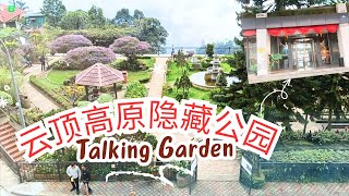 【云顶高原有这么一个风景好少有人知的花园哦！】Genting SkyWorlds Hotel 云顶天城世界酒店后花园Talking Garden散步 户云顶外乐园最新票价 Beena's吃午餐