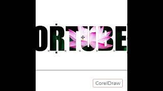 CorelDraw Using PowerClip