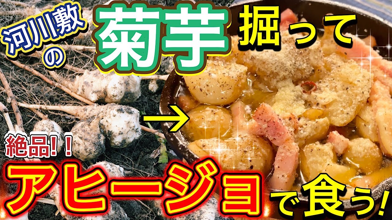 いのち の讃歌 菊芋で糖尿病の合併症から救われた!! 可笑し
