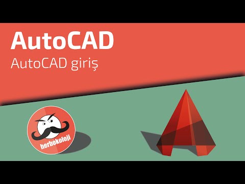 Video: AutoCAD'de çalışma seti nedir?
