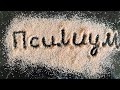 Псиллиум что это?  Полезные свойства псилиума / Psyllium husk