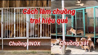 Khởi nghiệp chó cảnh cách làm chuồng nuôi chó  zl0869099929