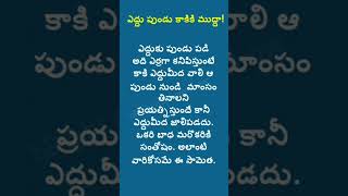 Telugu Sametha -19 Proverb With Explanation