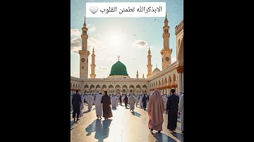 القارى عبدالله المروسي تلاوة خاشعة تريح القلب 🍁🕋🌿🍀🤍🥀🤍🥀🕊🥺