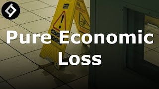 Pure Economic Loss | Law of Tort Full Lecture