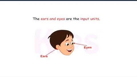 How does a computer works? #class2 #kips