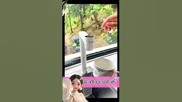 Phần 21.2 | Cô gái cải tạo nhà cũ thành căn villa view sông đẹp mê hồn trong 1 năm #caitaonhacu