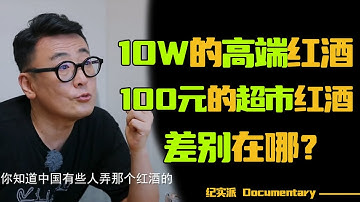 10W的高端红酒和100元的超市红酒,你知道差别在哪吗?#窦文涛 #圆桌派 #许子东 #马家辉 #梁文道 #锵锵行天下