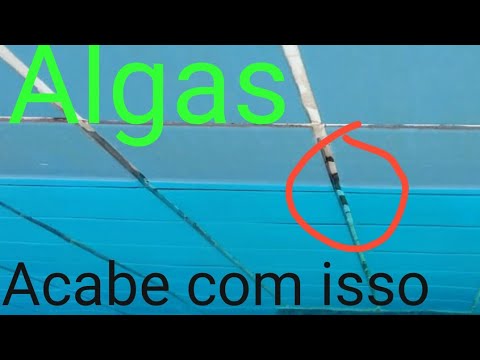 Vídeo: Limpeza E Reparo De Piscinas Do Tipo 