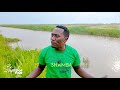 MASANJA KILIMO JINSI YA KUPATA MAJI KWEYE SHAMBA LA MPUNGA MASANJA KILIMO JINSI YA KUPATA MAJI KWEYE SHAMBA LA MPUNGA
