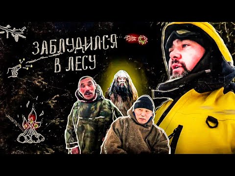 Видео: Арктическое сафари: 13 ярких снимков с земли белых медведей