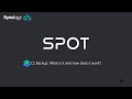 SPOT: C2 Backup What is it and how does it work