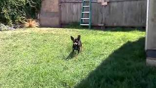 VID_20110909_134632.3gp