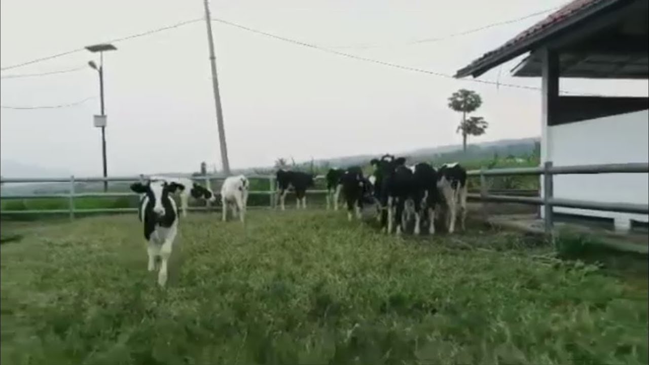 Profil UPTD BPPIBTSP Bunikasih