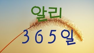 가요, 알리 - 365일,  반복듣기, 가사첨부,   7080, 8090, 국내가요, 한국가요, KPOP, 韓国の歌