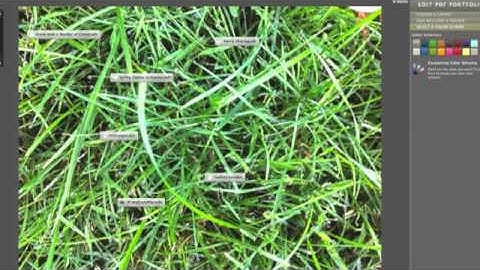 Making a Portfolio with Adobe Acrobat Pro