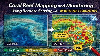 Coral Reef Mapping and Monitoring Using Remote Sensing with Machine Learning