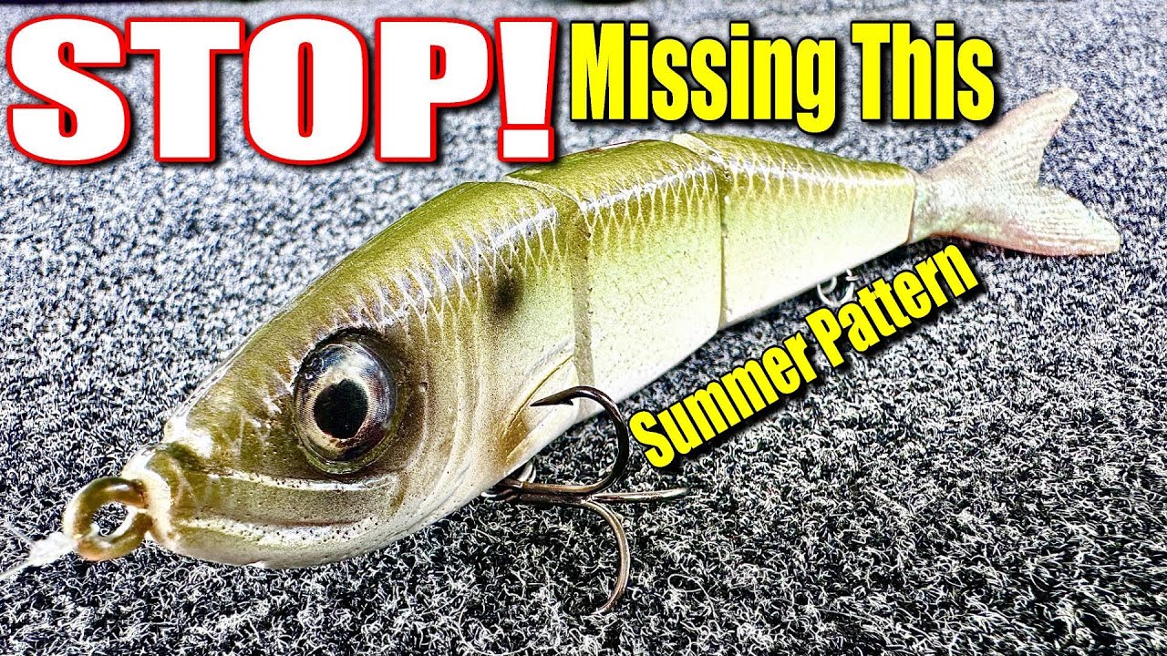 The Most Effective Bait and Pattern You Are Missing