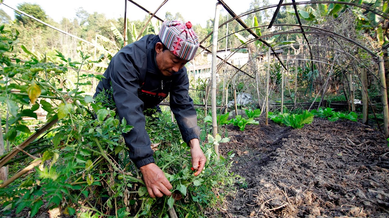 Climate Resilient farming in Sikkim