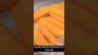 shorts trendingshorts shortvideos viral mangoes banginpallymangoes mangolovers mangorecipe