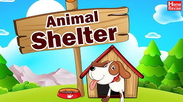 Animal Shelter | Class 3 | EVS | English Medium | Maharashtra State Board | Home Revise