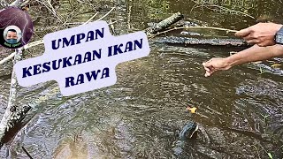 CHEAP FISHING ROD, WOW RESULTS
